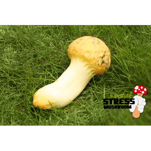 STRESS MUSHROOM